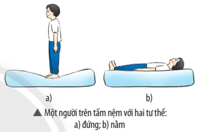 Khoa học tự nhiên 8 Chân trời sáng tạo bài 16 trang 81, 82, 83