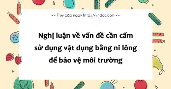 Nghị luận về vấn đề cần cấm sử dụng vật dụng bằng ni lông để bảo vệ môi trường lớp 8