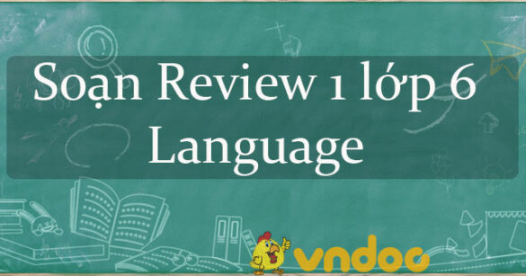 Review 1 lớp 6 Language