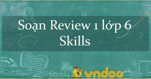 Review 1 lớp 6 Skills