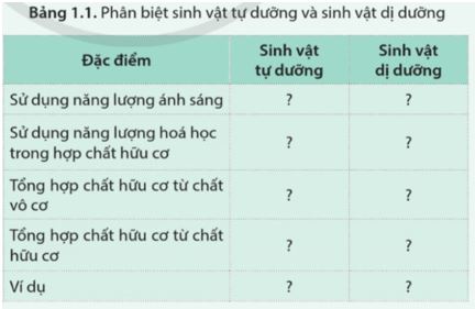 Luyện tập trang 6 Sinh học 11