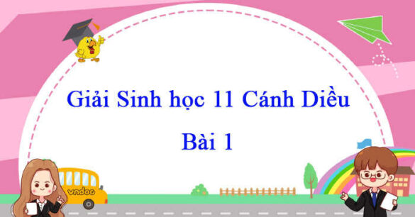 Sinh học 11 Cánh Diều bài 1