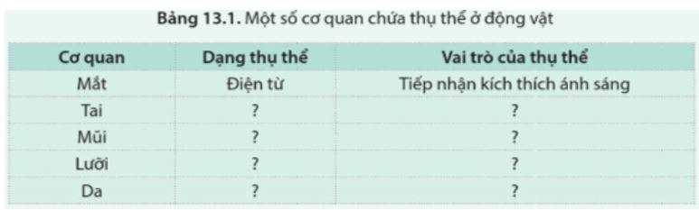 Luyện tập trang 89 Sinh học 11