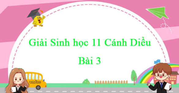 Sinh học 11 Cánh Diều bài 3