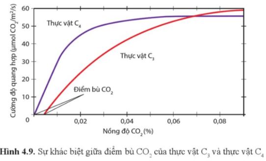 Luyện tập trang 30 Sinh học 11