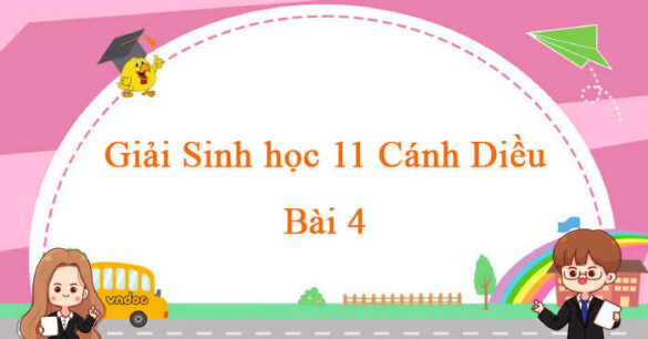 Sinh học 11 Cánh Diều bài 4