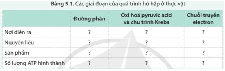 Luyện tập trang 37 Sinh học 11