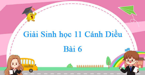 Sinh học 11 Cánh Diều bài 6