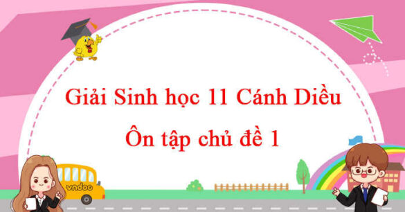 Sinh học 11 Cánh Diều bài Ôn tập chủ đề 1