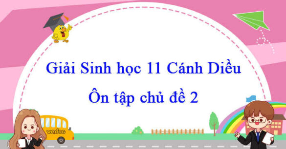 Sinh học 11 Cánh Diều bài Ôn tập chủ đề 2