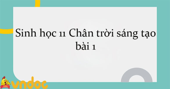 Sinh học 11 Chân trời sáng tạo bài 1