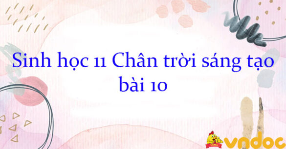 Sinh học 11 Chân trời sáng tạo bài 10