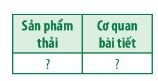 Sinh 11 Chân trời sáng tạo bài 13