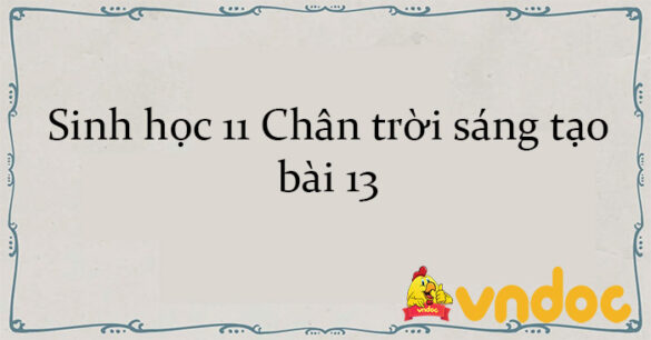 Sinh học 11 Chân trời sáng tạo bài 13