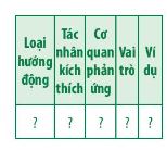 Sinh 11 Chân trời sáng tạo bài 15