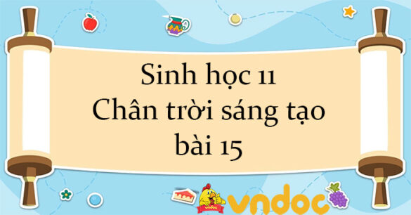 Sinh học 11 Chân trời sáng tạo bài 15