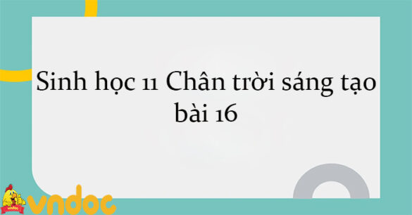 Sinh học 11 Chân trời sáng tạo bài 16