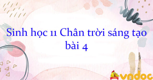 Sinh học 11 Chân trời sáng tạo bài 4