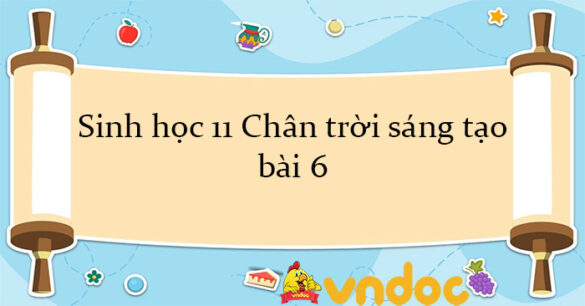 Sinh học 11 Chân trời sáng tạo bài 6