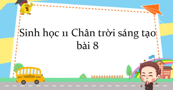 Sinh học 11 Chân trời sáng tạo bài 8