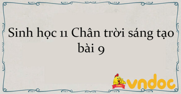 Sinh học 11 Chân trời sáng tạo bài 9