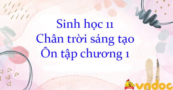 Sinh học 11 Chân trời sáng tạo Ôn tập chương 1