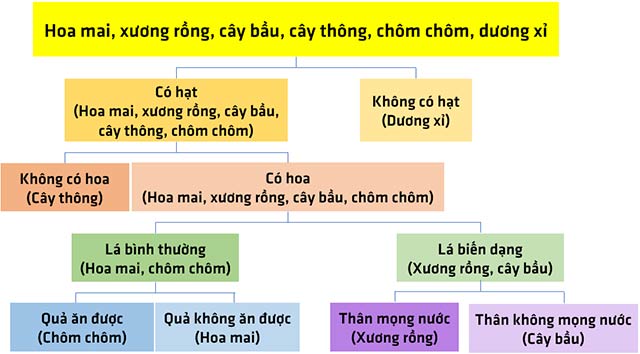 KHTN lớp 6 Thực vật