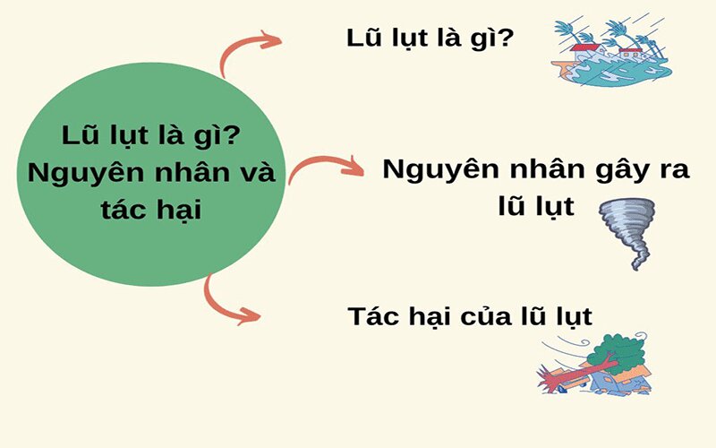 Soạn bài Lũ lụt là gì? Nguyên nhân và tác hại đầy đủ