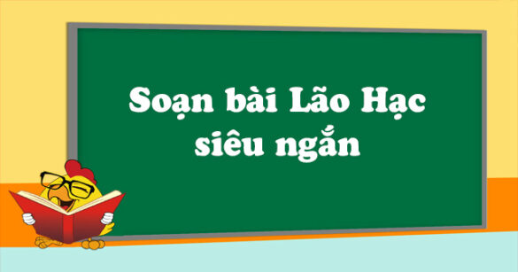 Soạn bài Lão Hạc siêu ngắn