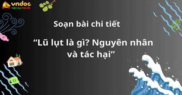 Soạn bài Lũ lụt là gì? Nguyên nhân và tác hại đầy đủ