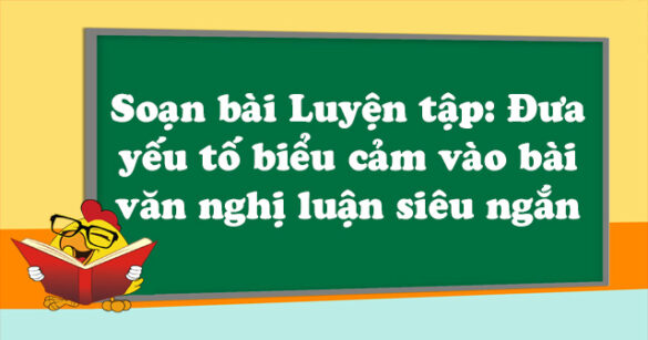 Soạn bài Luyện tập: Đưa yếu tố biểu cảm vào bài văn nghị luận siêu ngắn