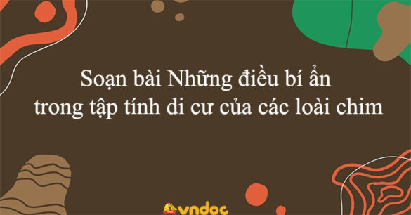 Soạn bài Những điều bí ẩn trong tập tính di cư của các loài chim