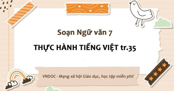 Soạn bài Thực hành tiếng Việt lớp 7 trang 35