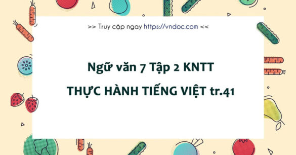 Soạn bài Thực hành tiếng Việt lớp 7 trang 41