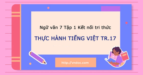 Soạn bài Thực hành tiếng Việt trang 17, 18 lớp 7