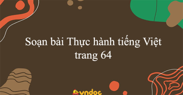 Soạn bài Thực hành tiếng Việt trang 64