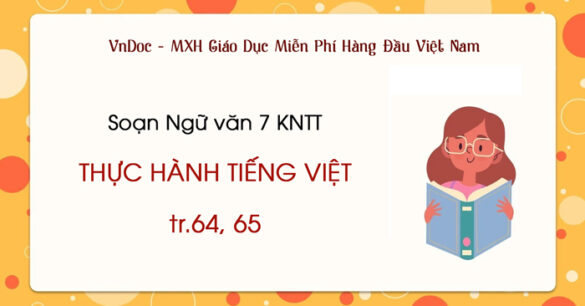 Soạn bài Thực hành tiếng Việt trang 64, 65