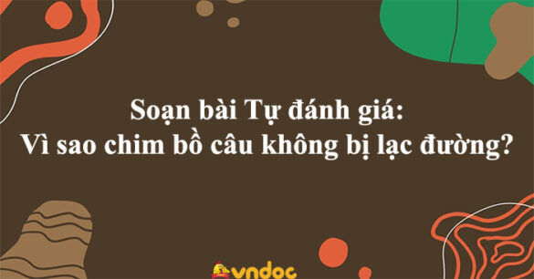 Soạn bài Tự đánh giá: Vì sao chim bồ câu không bị lạc đường?