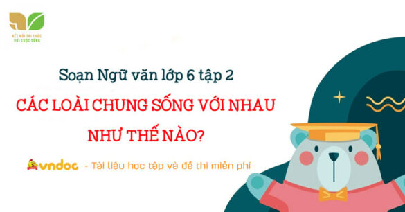 Soạn bài Các loài chung sống với nhau như thế nào? trang 82