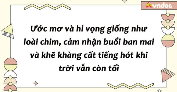 Suy nghĩ về câu danh ngôn Ước mơ và hi vọng giống như loài chim, cảm nhận buổi ban mai và khẽ khàng cất tiếng hót khi trời vẫn còn tối