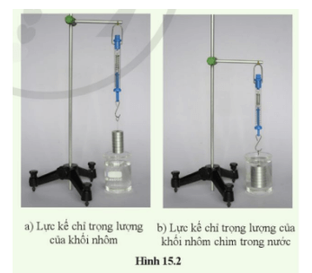 Khoa học tự nhiên 8