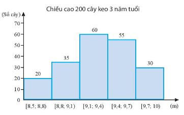 Toán 11 Chân trời sáng tạo bài 1