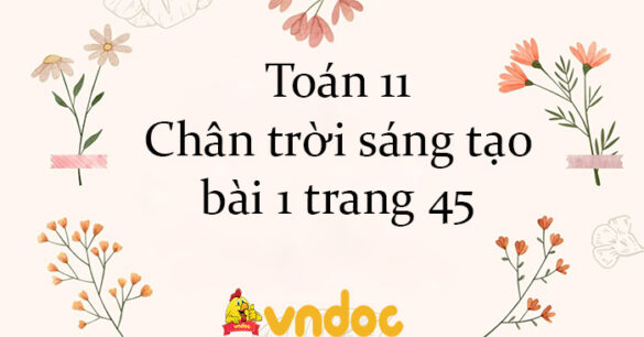 Toán 11 Chân trời sáng tạo bài 1 trang 45