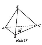 Toán 11 Chân trời sáng tạo bài 2