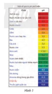 Toán 11 Chân trời sáng tạo bài 2