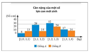 Toán 11 Chân trời sáng tạo bài 2