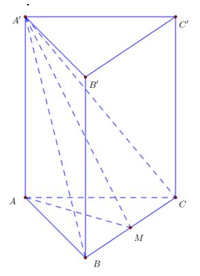 Toán 11 Chân trời sáng tạo bài 4