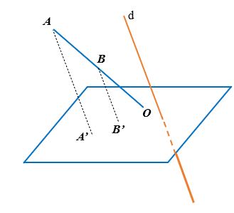 Toán 11 Chân trời sáng tạo bài 5