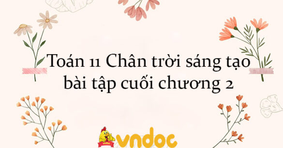 Toán 11 Chân trời sáng tạo bài tập cuối chương 2