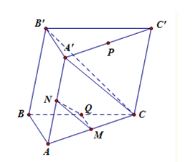 Toán 11 Chân trời sáng tạo bài tập cuối chương 4